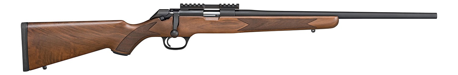 SPR 2020 CL WLNT GD AA 22LR - Taurus Savings